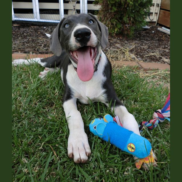 Photo of Cyan *On Trial In Her New Home*