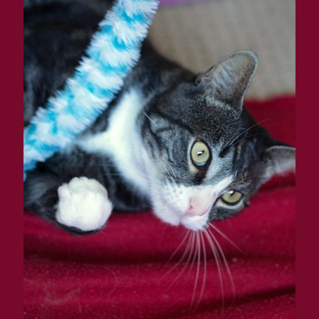 Photo of Max   Special Needs