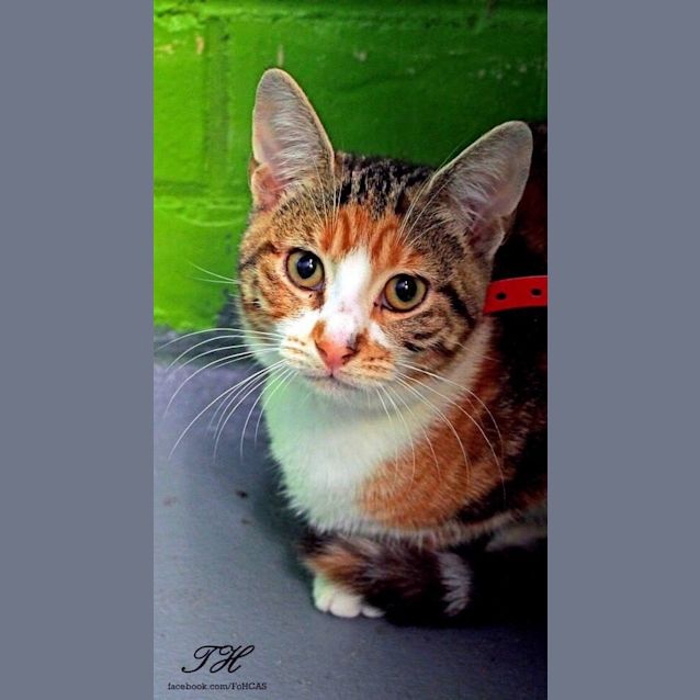 Photo of Lexi