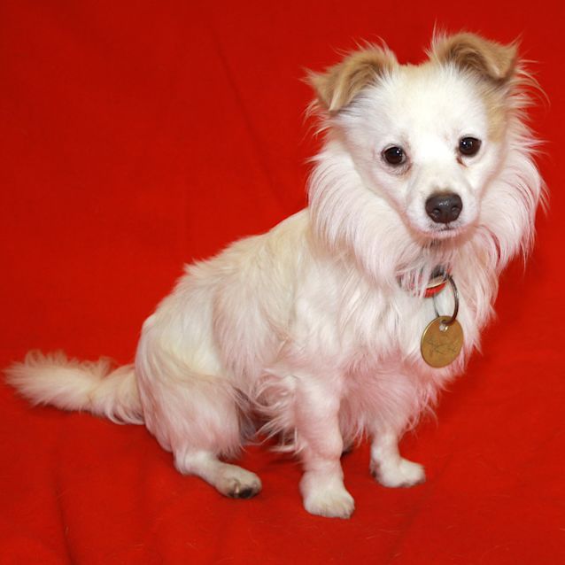 Photo of Pierre