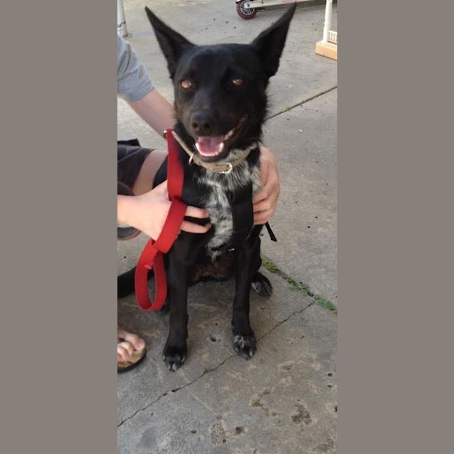 Photo of Tinka