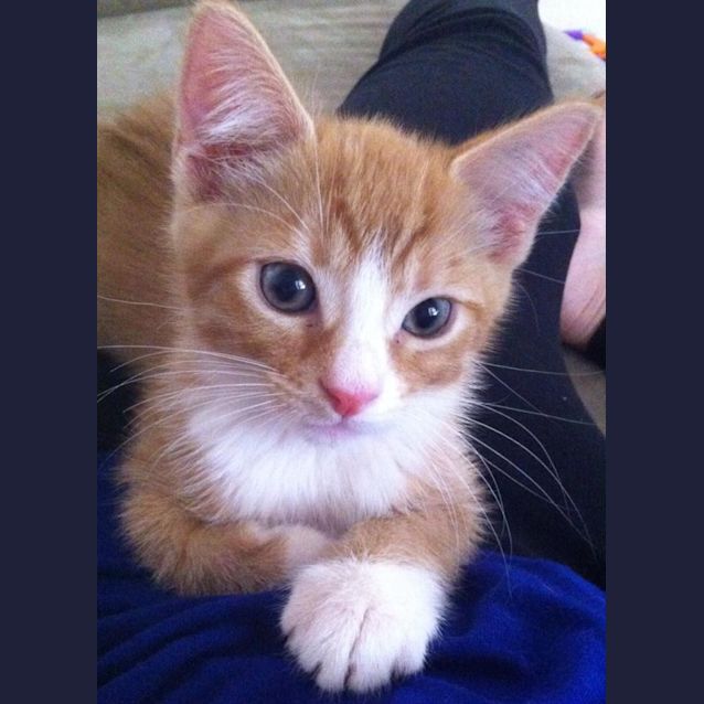 Photo of Stuart