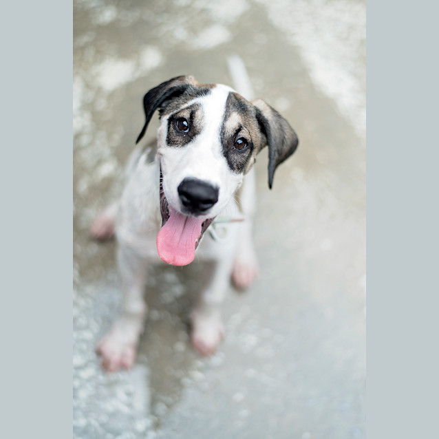 Photo of Rocket