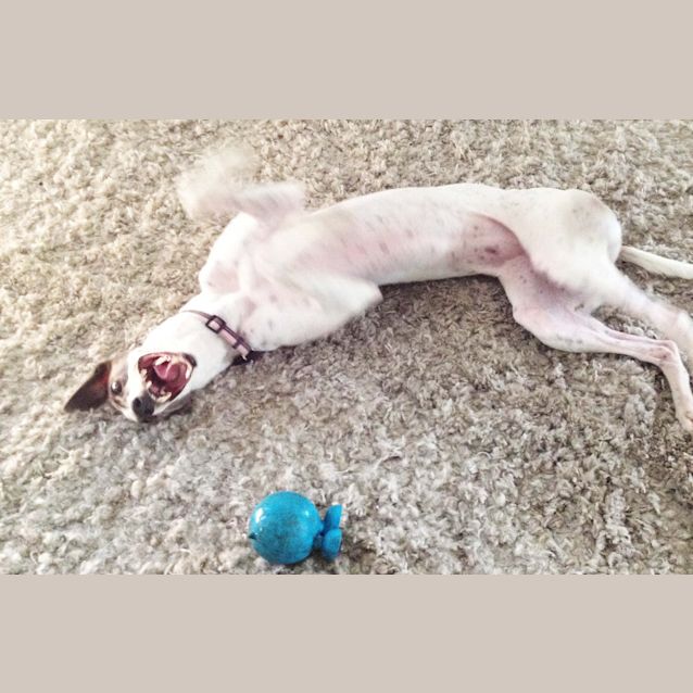 Photo of "Ava".  Bringing Glamour To The Gold Coast