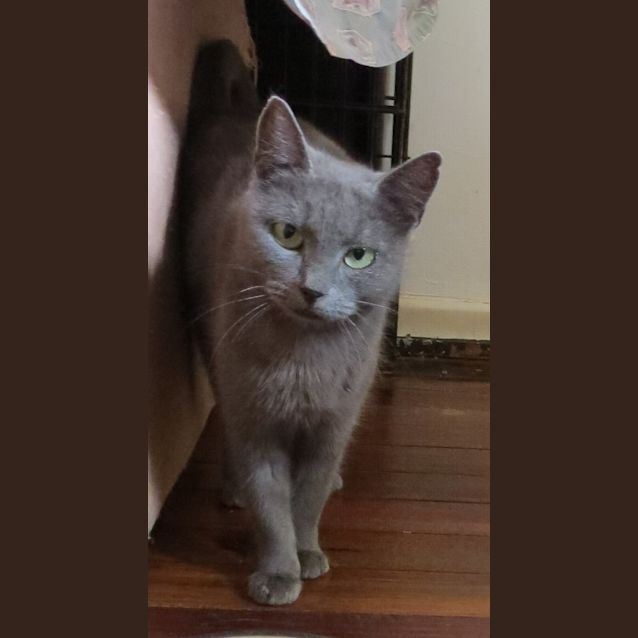 Photo of Phoebe