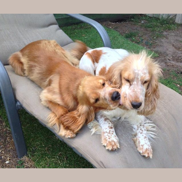 Photo of Penny & Sandy