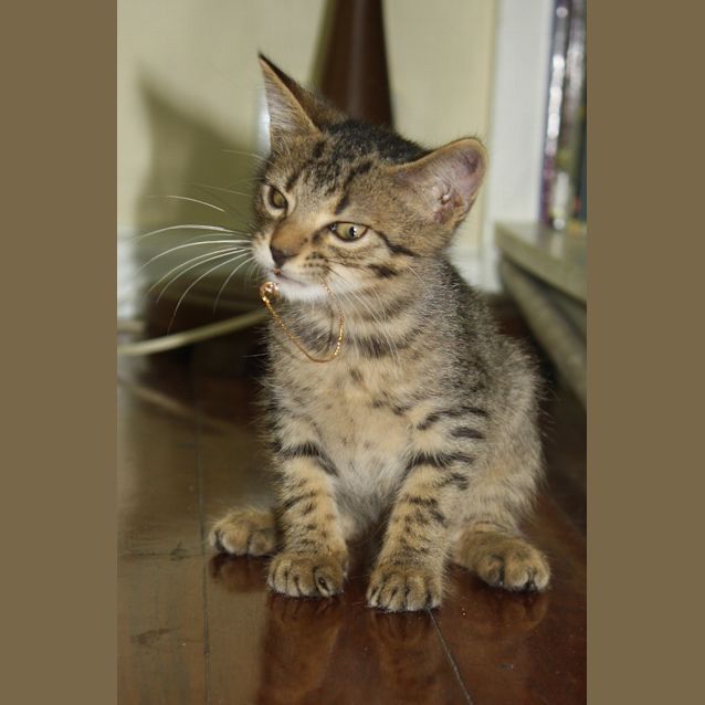 Photo of Samwise