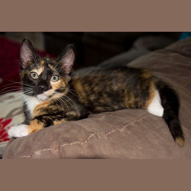 Photo of Millie