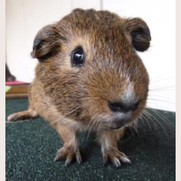Photo of Thelma