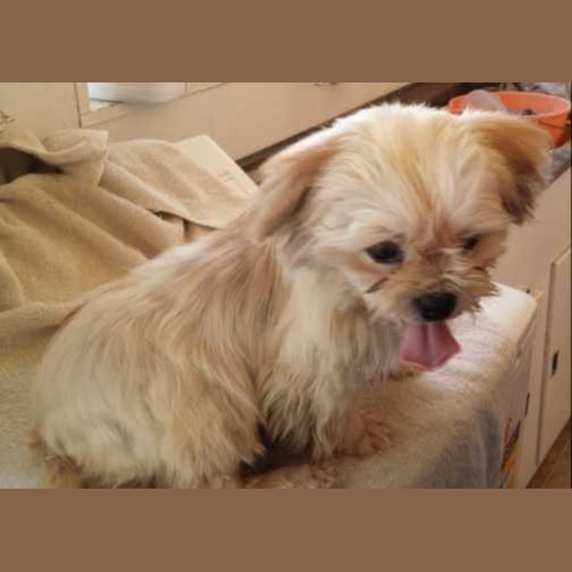Photo of Skittles