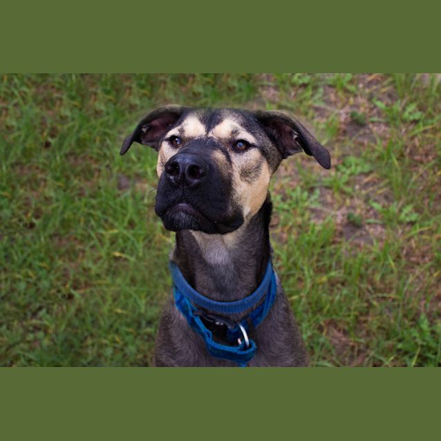 Photo of Buster