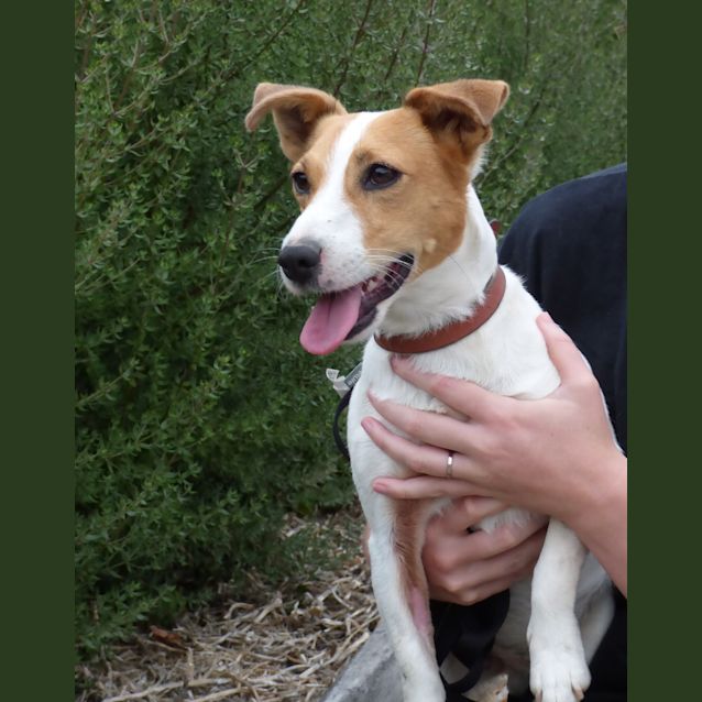 Photo of Tait   Mr Personality