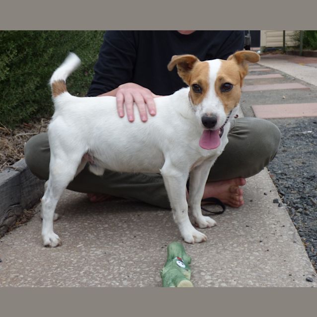 Photo of Tait   Mr Personality