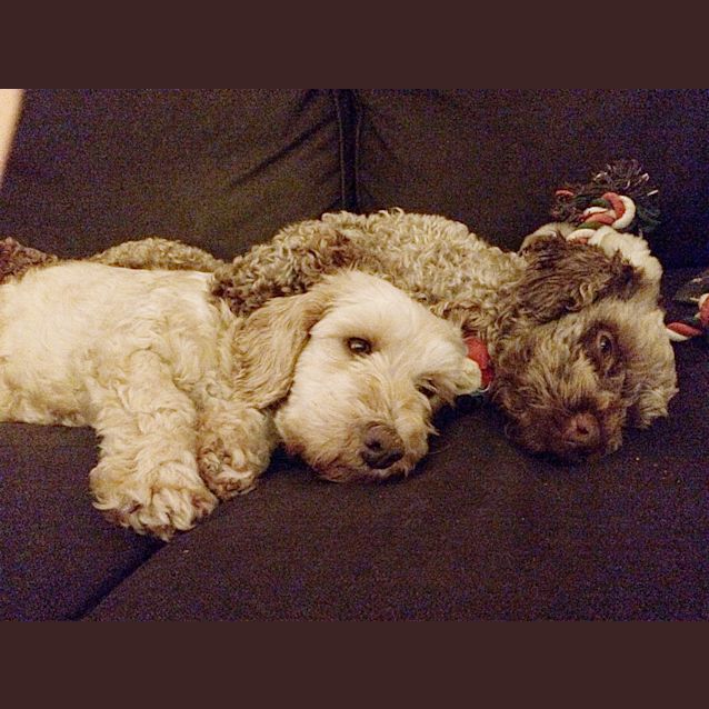 Photo of June & Milly