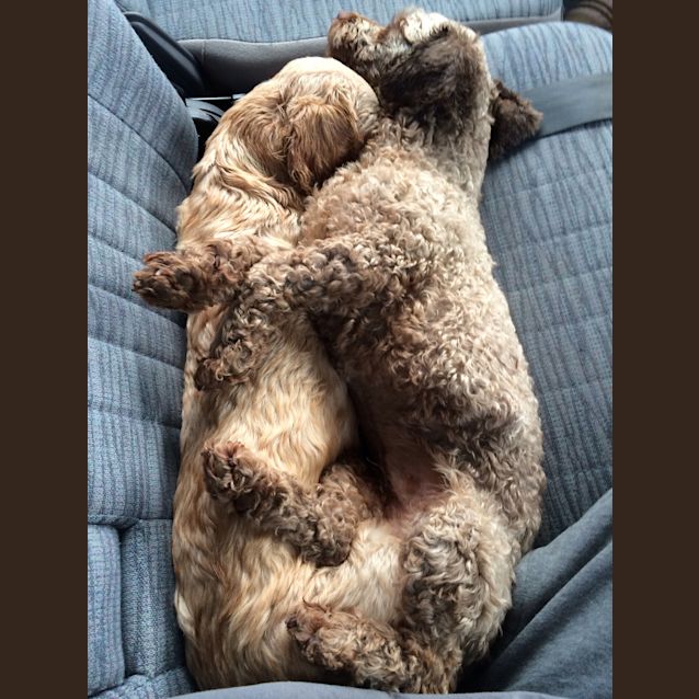 Photo of June & Milly