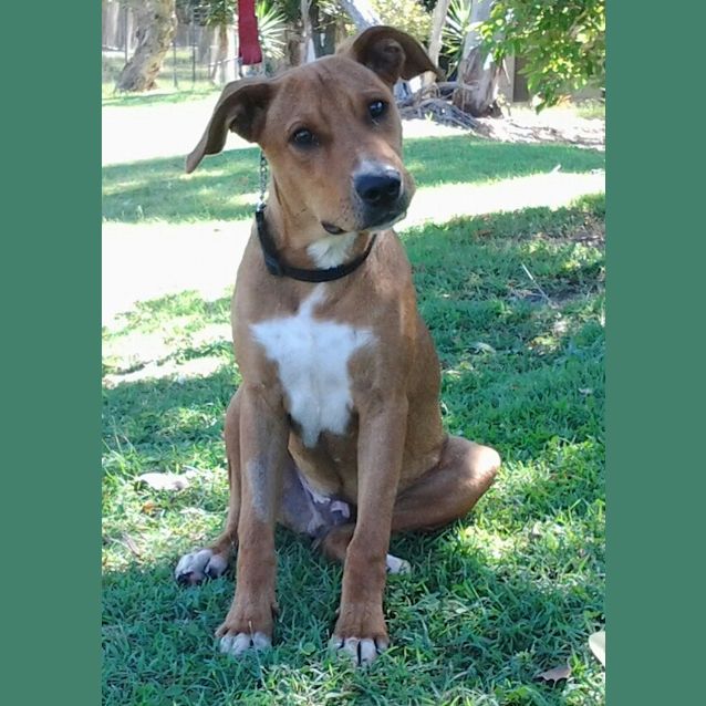 Photo of 095 1352 Buddy