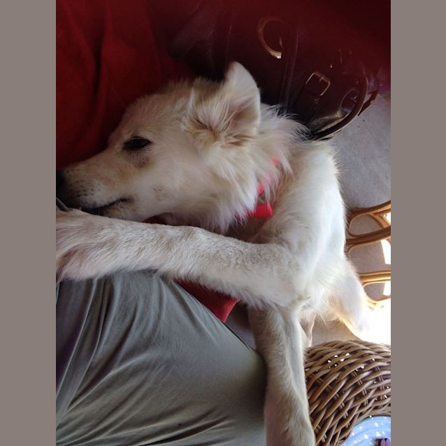 Photo of Pearl 
