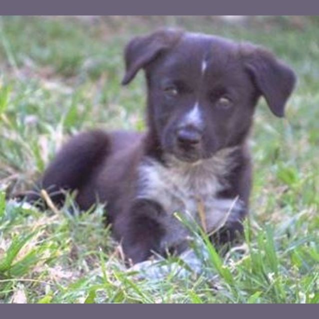 Photo of Jax