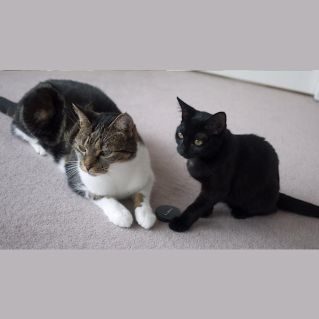 Photo of Wednesday