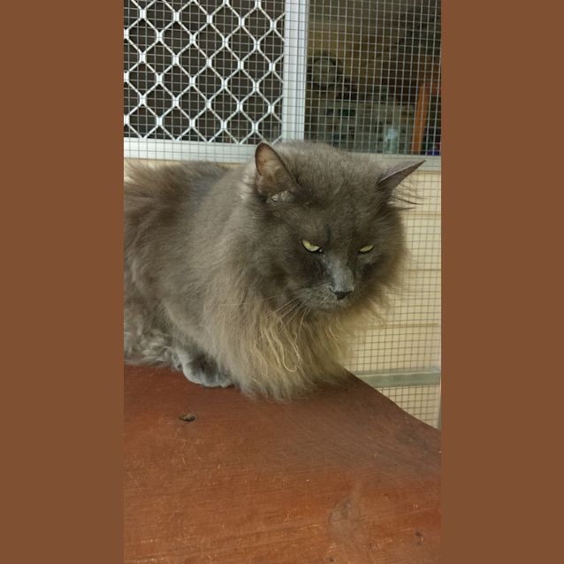Photo of Axel