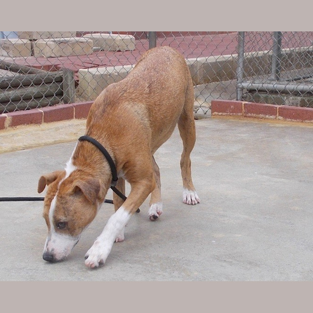 Photo of Nelly