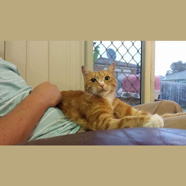 Photo of Rio (On Trial)