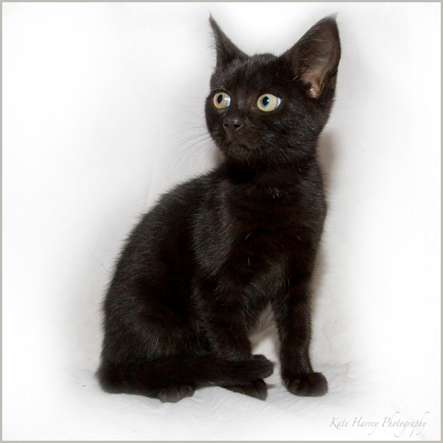 Photo of Grace