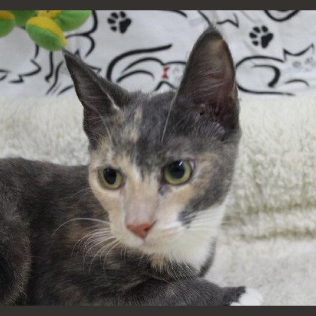 Photo of Thelma
