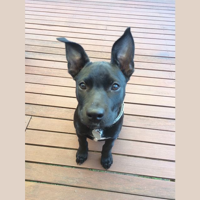 Photo of Lexie *On Trial*