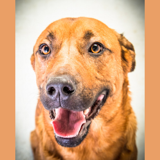 Photo of Bruce ~ #1501434
