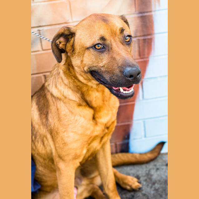 Photo of Bruce ~ #1501434
