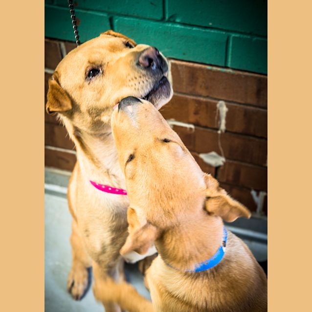 Photo of Bonnie ~ #1501462