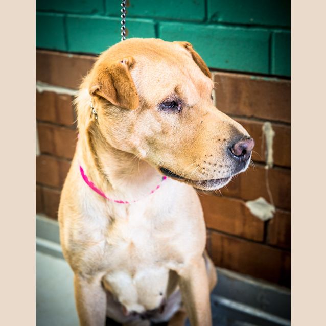 Photo of Bonnie ~ #1501462