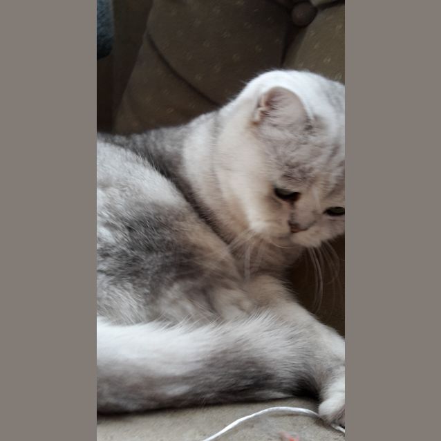 Photo of Gucci