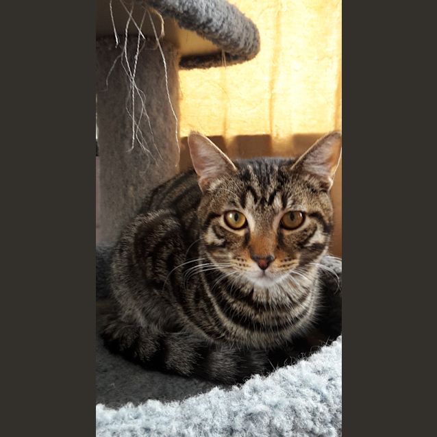 Photo of Clarence