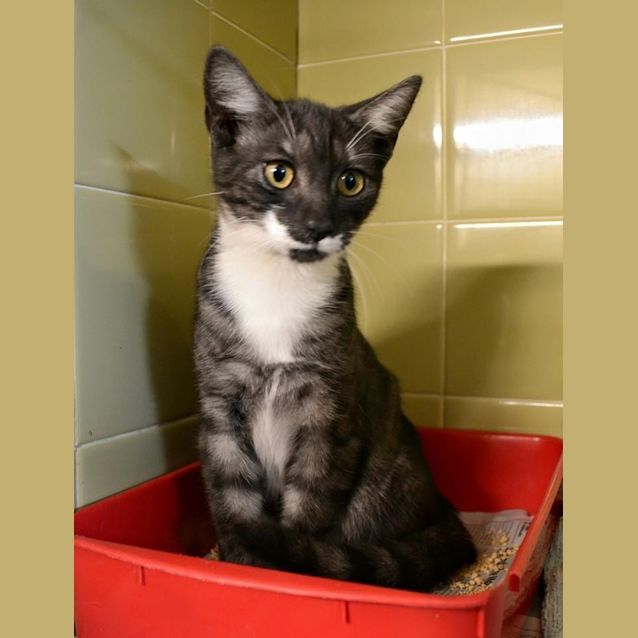Photo of Penny Needs To Get Out Of The Pound! 