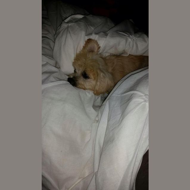 Photo of Rocket