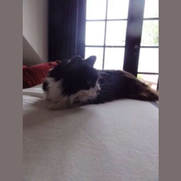 Photo of Zoe