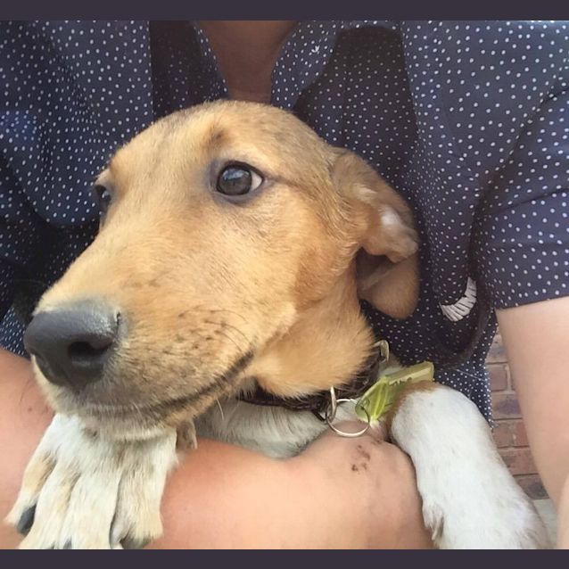 Photo of Thor