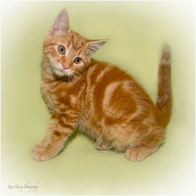 Photo of Colin