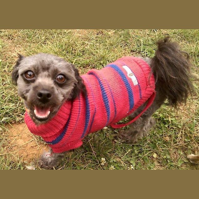 Photo of Poshy