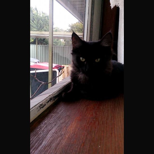 Photo of Ebby