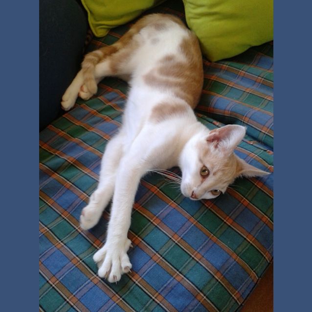Photo of Charles