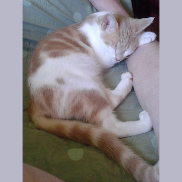 Photo of Charles