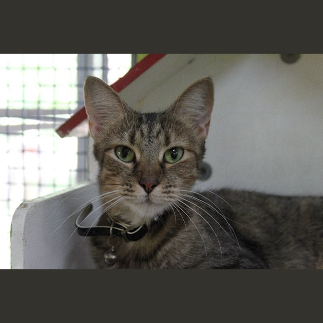 Photo of Lilly