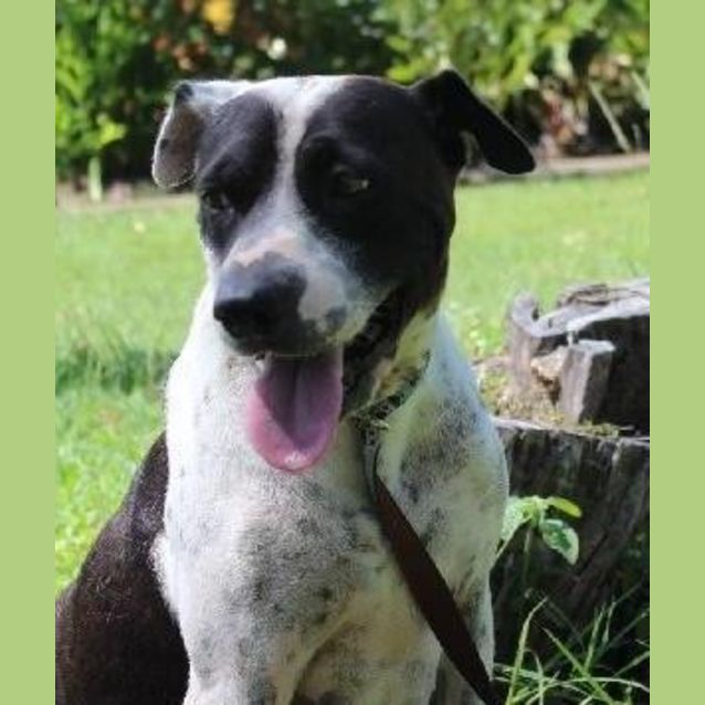 Photo of Molly