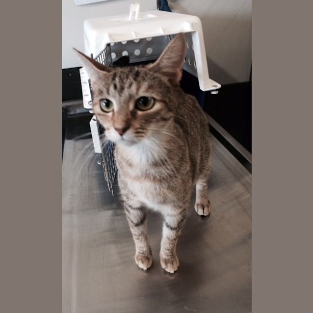 Photo of Matilda