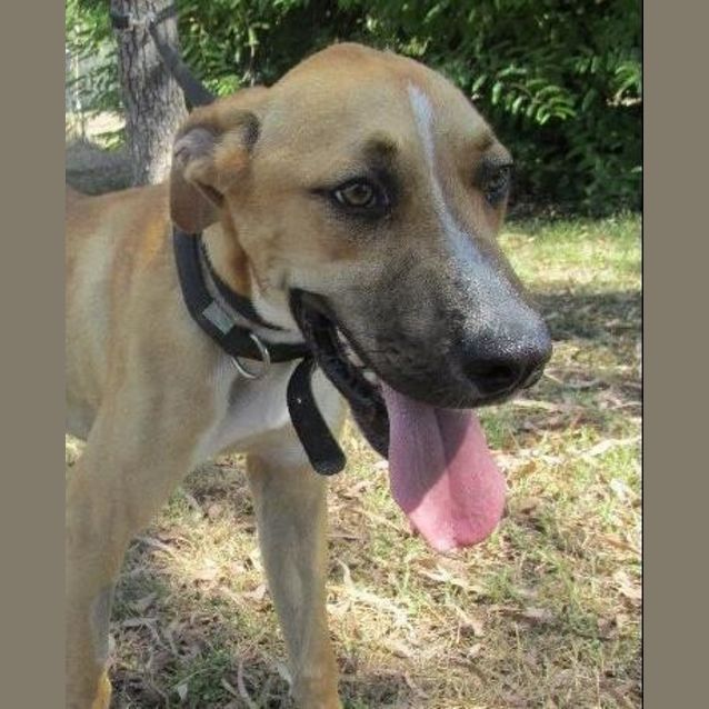 Photo of Scooter