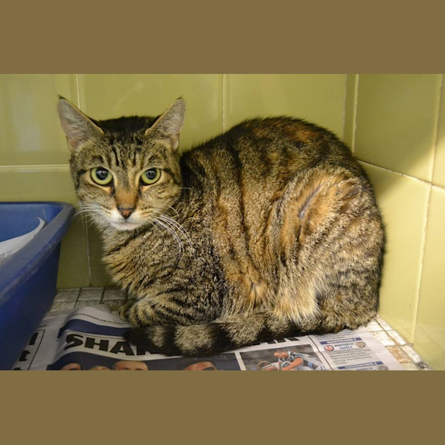 Photo of Eva Needs To Bust Out Of The Pound!