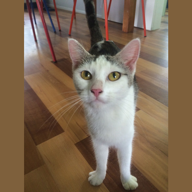 Photo of Debbie